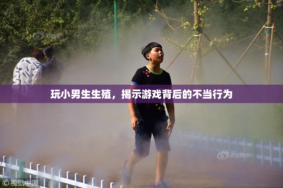 玩小男生生殖，揭示游戏背后的不当行为
