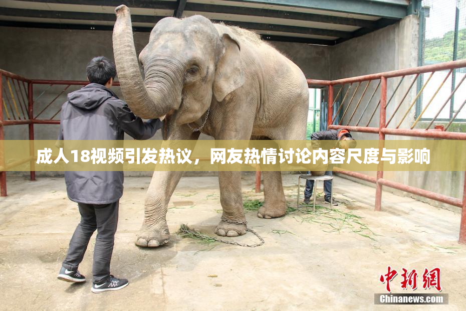成人18视频引发热议，网友热情讨论内容尺度与影响