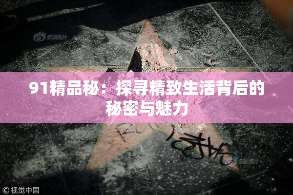 91精品秘：探寻精致生活背后的秘密与魅力