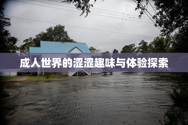 成人世界的涩涩趣味与体验探索