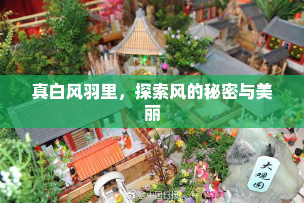 真白风羽里，探索风的秘密与美丽