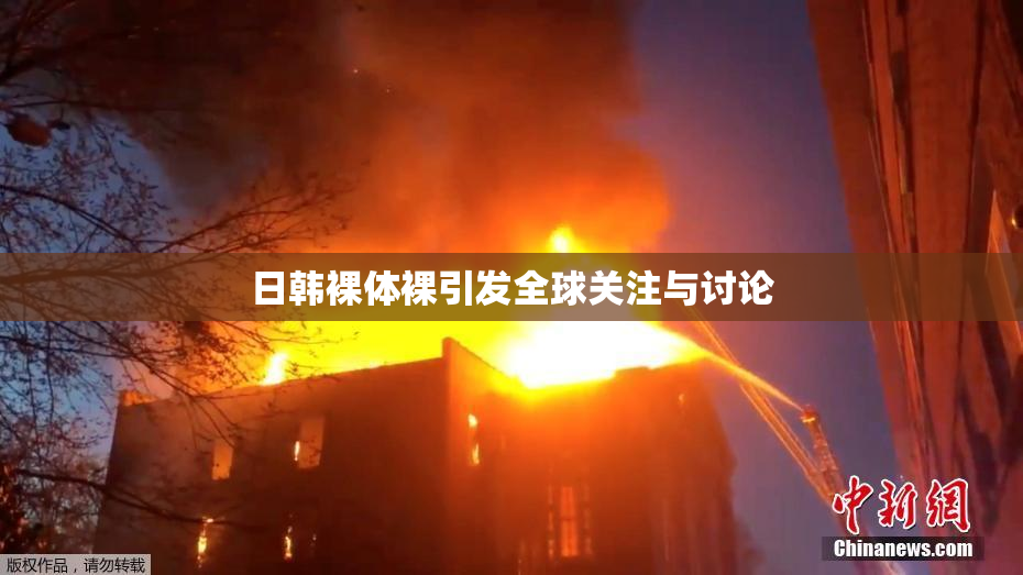 日韩裸体裸引发全球关注与讨论