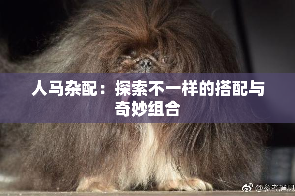 人马杂配：探索不一样的搭配与奇妙组合