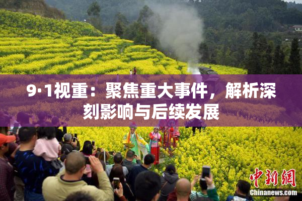 9·1视重：聚焦重大事件，解析深刻影响与后续发展