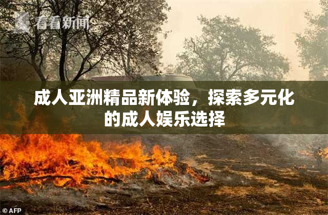 成人亚洲精品新体验，探索多元化的成人娱乐选择