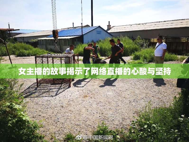 女主播的故事揭示了网络直播的心酸与坚持