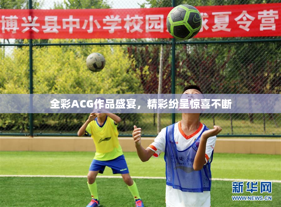全彩ACG作品盛宴，精彩纷呈惊喜不断