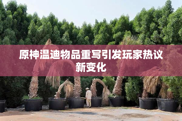 原神温迪物品重写引发玩家热议新变化