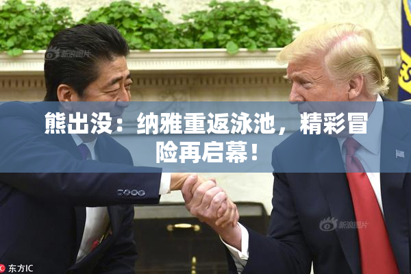 熊出没：纳雅重返泳池，精彩冒险再启幕！