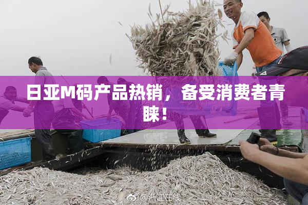 日亚M码产品热销，备受消费者青睐！