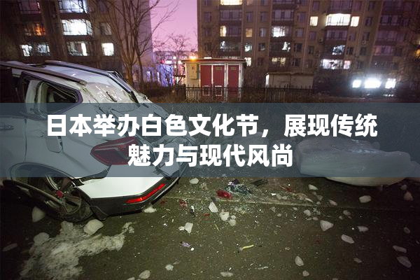 日本举办白色文化节，展现传统魅力与现代风尚
