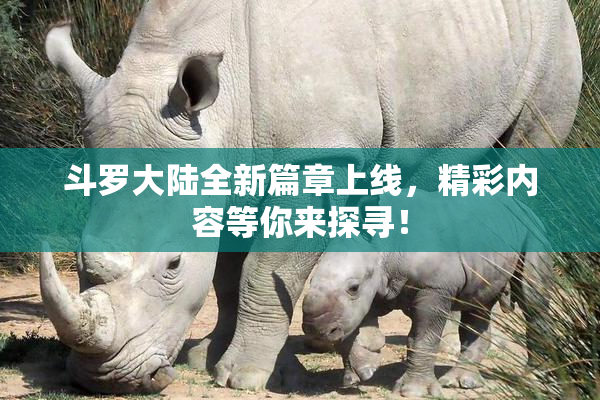 斗罗大陆全新篇章上线，精彩内容等你来探寻！