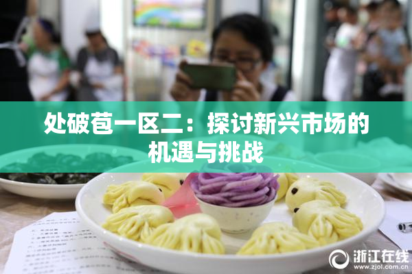 处破苞一区二：探讨新兴市场的机遇与挑战