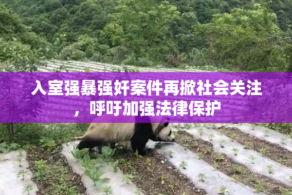 入室强暴强奸案件再掀社会关注，呼吁加强法律保护