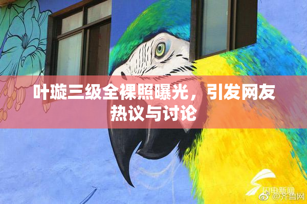 叶璇三级全裸照曝光，引发网友热议与讨论