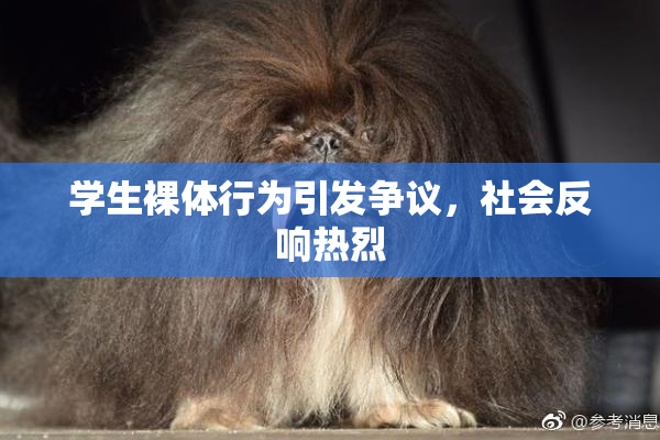 学生裸体行为引发争议，社会反响热烈