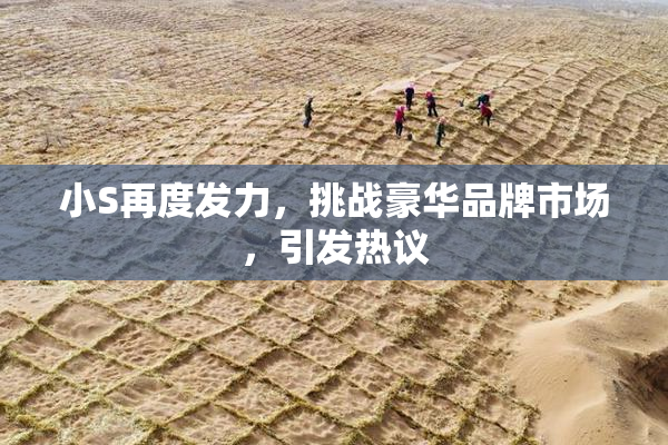小S再度发力，挑战豪华品牌市场，引发热议