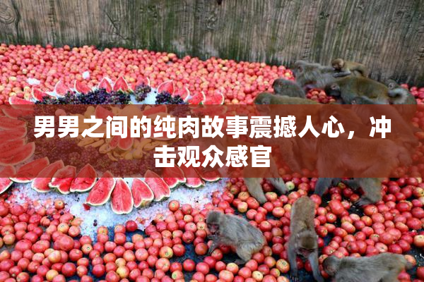 男男之间的纯肉故事震撼人心，冲击观众感官