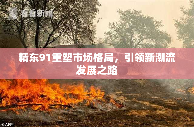 精东91重塑市场格局，引领新潮流发展之路