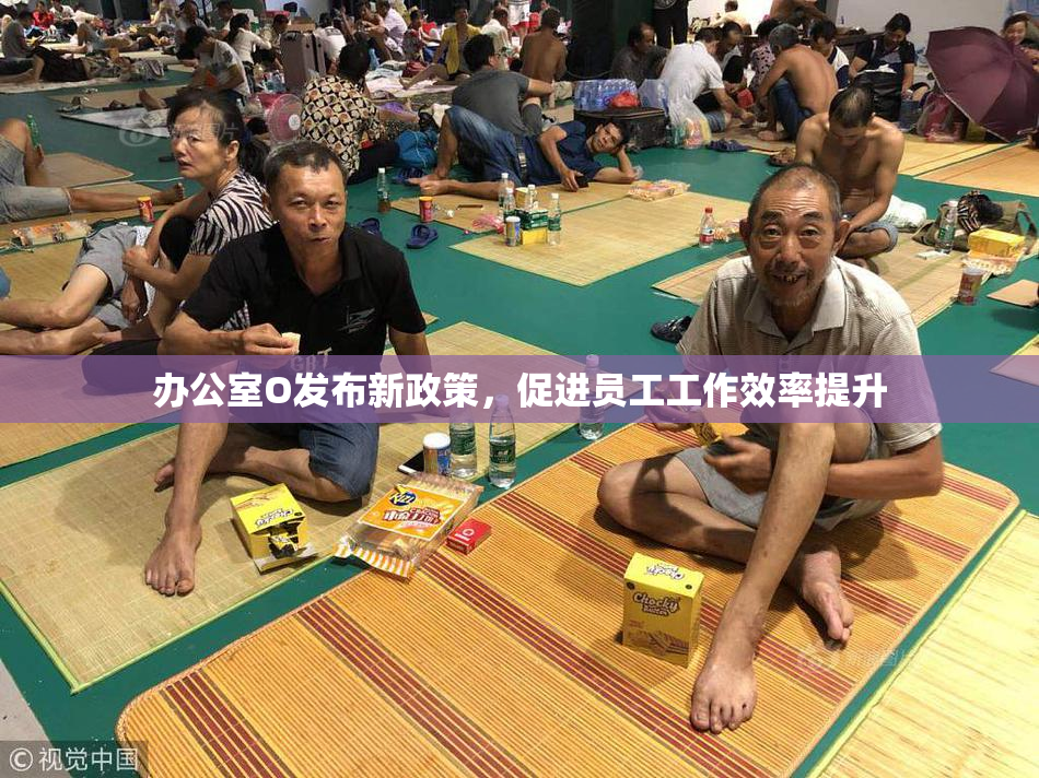 办公室O发布新政策，促进员工工作效率提升