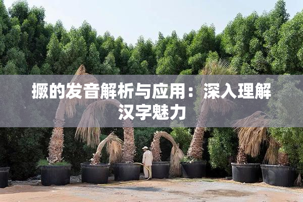 撅的发音解析与应用：深入理解汉字魅力