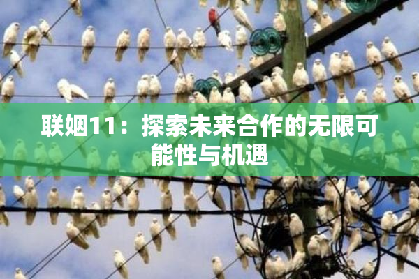联姻11：探索未来合作的无限可能性与机遇