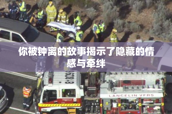 你被钟离的故事揭示了隐藏的情感与牵绊