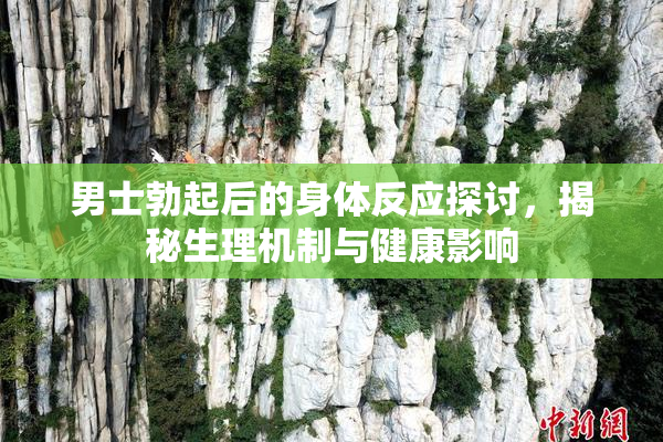 男士勃起后的身体反应探讨，揭秘生理机制与健康影响