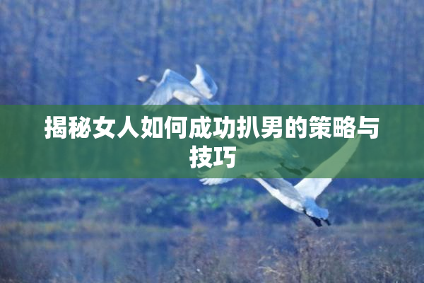 揭秘女人如何成功扒男的策略与技巧