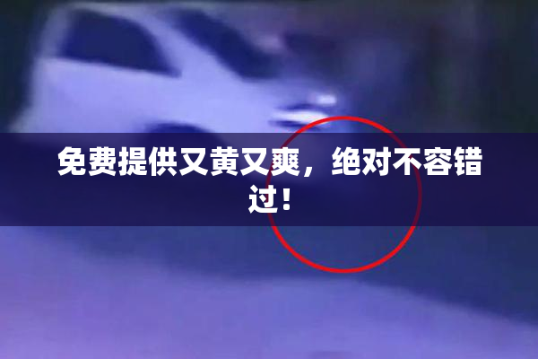 免费提供又黄又爽，绝对不容错过！