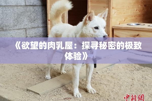 《欲望的肉乳屋：探寻秘密的极致体验》