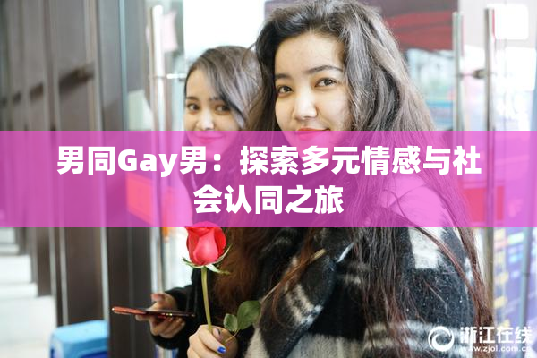 男同Gay男：探索多元情感与社会认同之旅