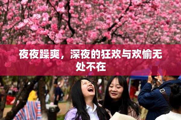夜夜躁爽，深夜的狂欢与欢愉无处不在