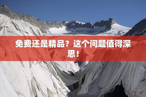 免费还是精品？这个问题值得深思！