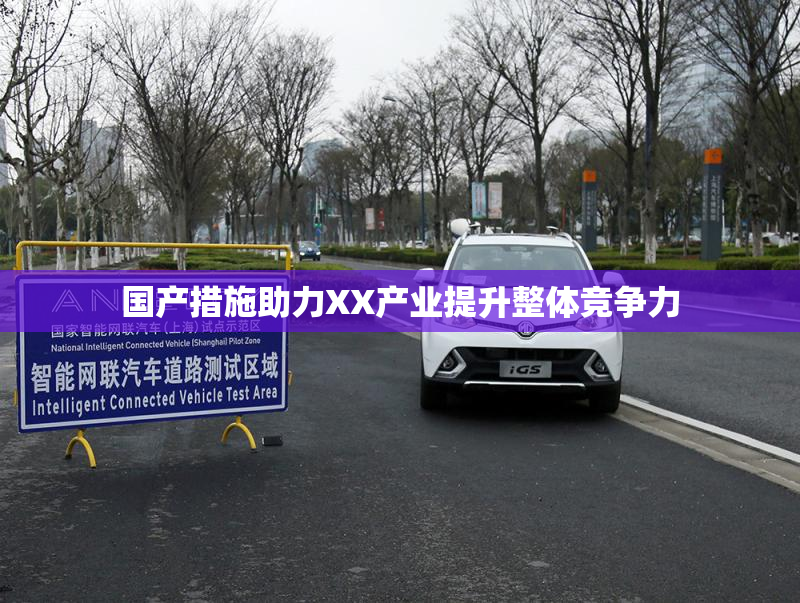 国产措施助力XX产业提升整体竞争力