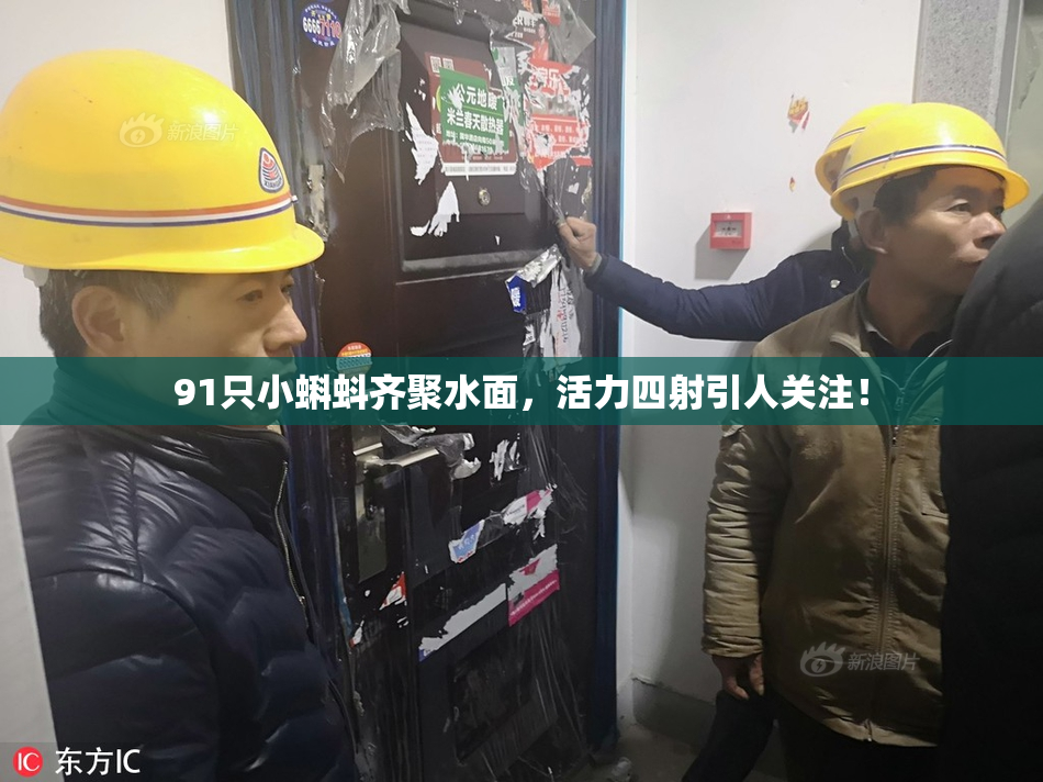 91只小蝌蚪齐聚水面，活力四射引人关注！