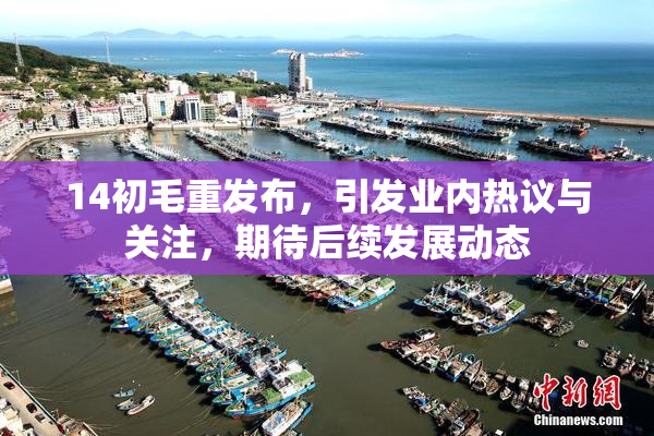 14初毛重发布，引发业内热议与关注，期待后续发展动态