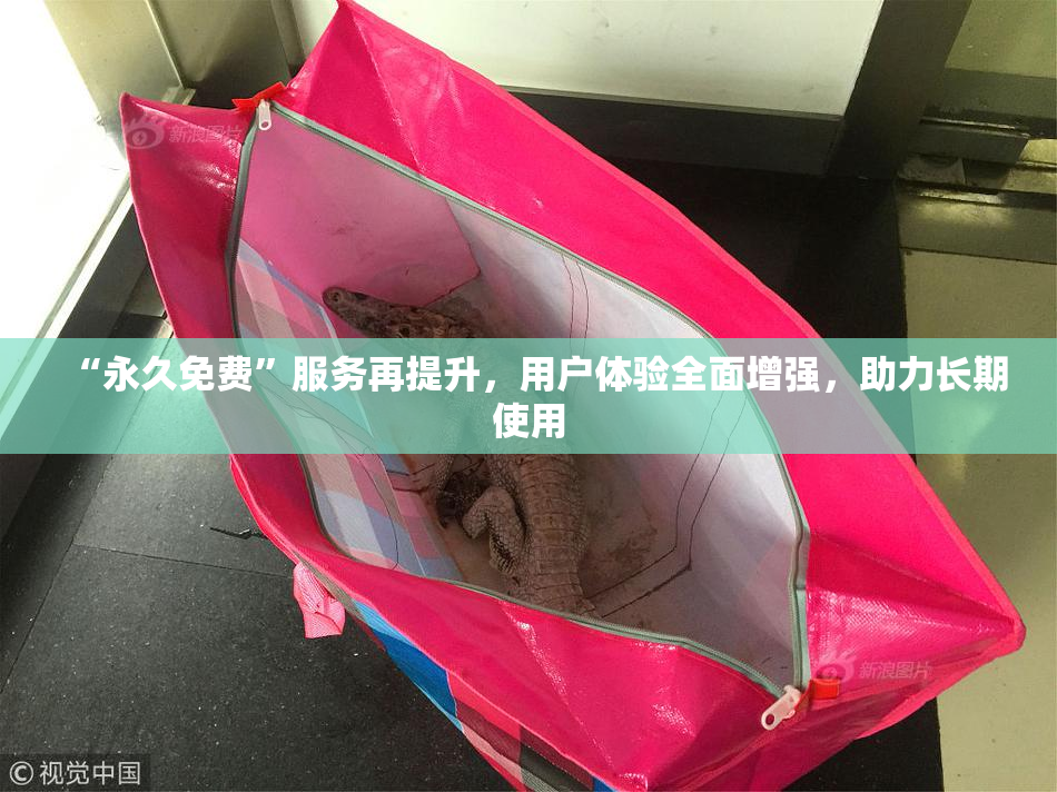 “永久免费”服务再提升，用户体验全面增强，助力长期使用
