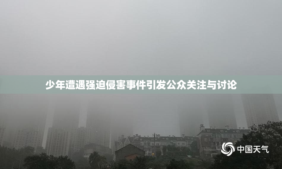 少年遭遇强迫侵害事件引发公众关注与讨论