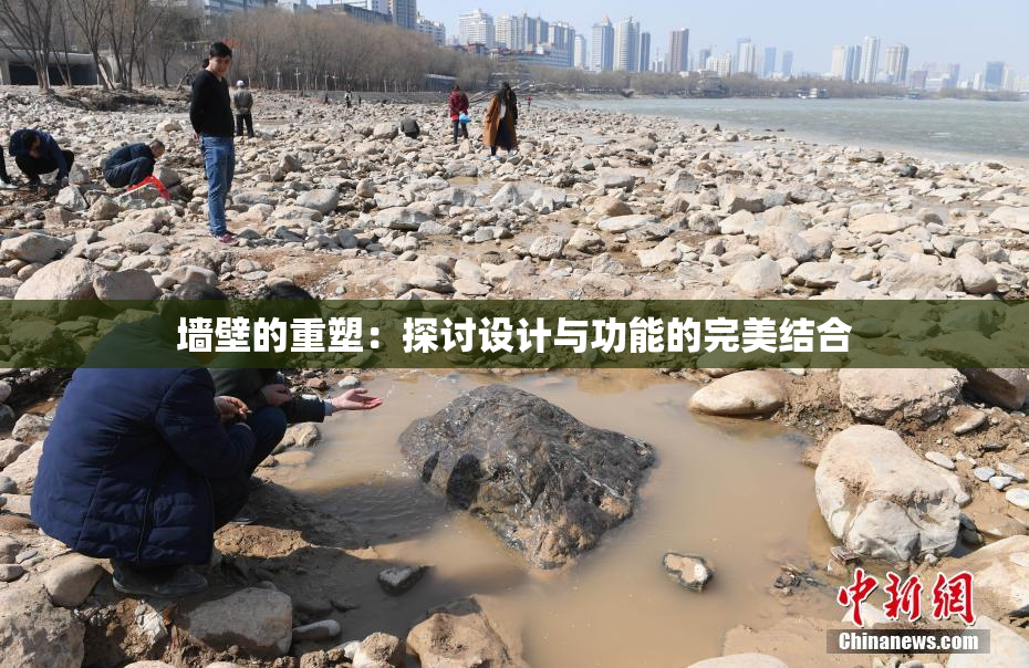 墙壁的重塑：探讨设计与功能的完美结合