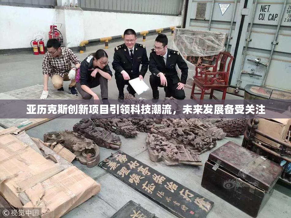 亚历克斯创新项目引领科技潮流，未来发展备受关注