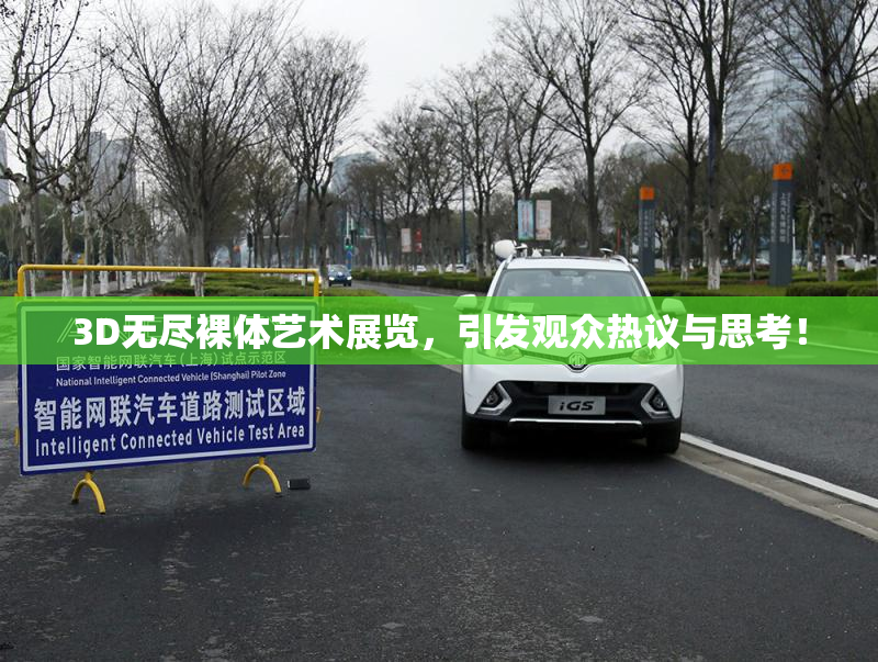 3D无尽裸体艺术展览，引发观众热议与思考！