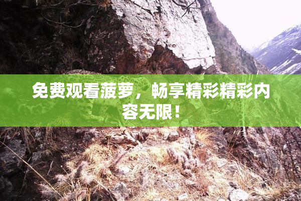 免费观看菠萝，畅享精彩精彩内容无限！