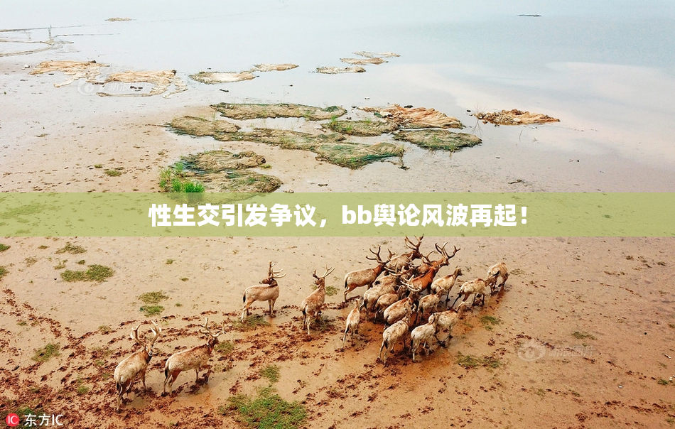 性生交引发争议，bb舆论风波再起！