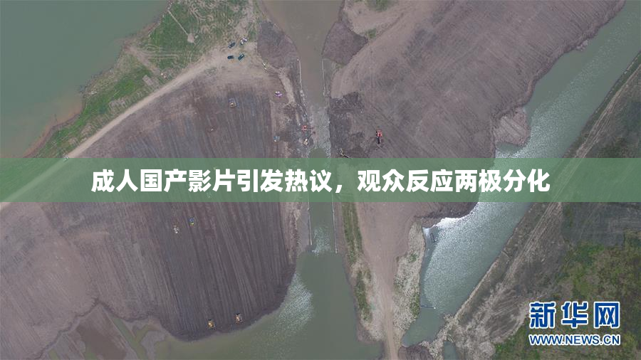成人国产影片引发热议，观众反应两极分化