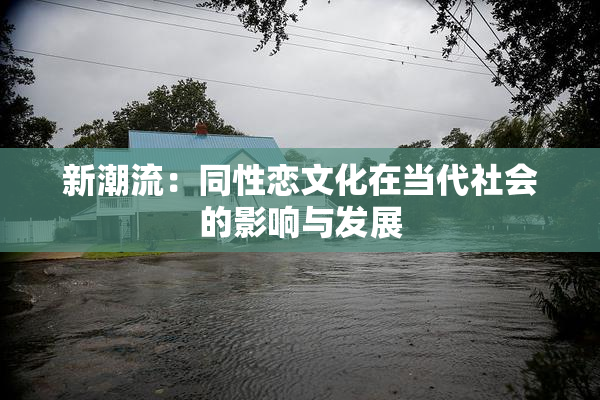 新潮流：同性恋文化在当代社会的影响与发展