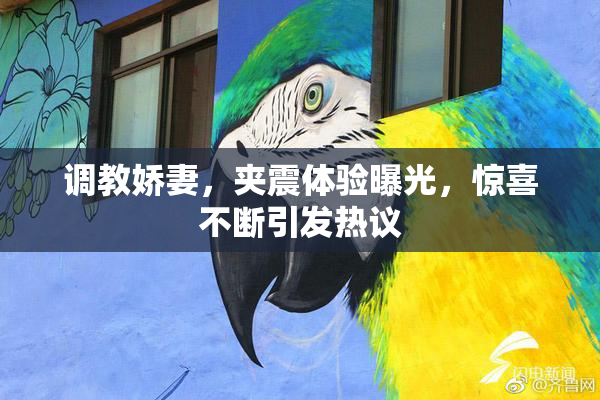 调教娇妻，夹震体验曝光，惊喜不断引发热议