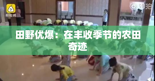 田野优爆：在丰收季节的农田奇迹