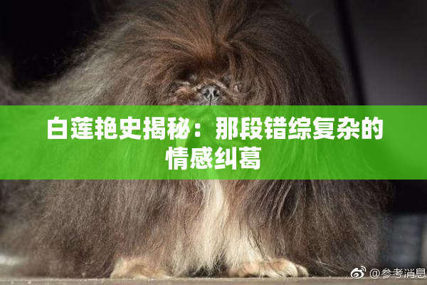白莲艳史揭秘：那段错综复杂的情感纠葛