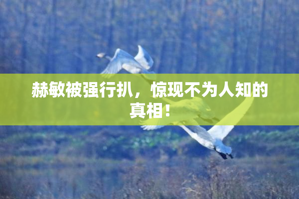 赫敏被强行扒，惊现不为人知的真相！